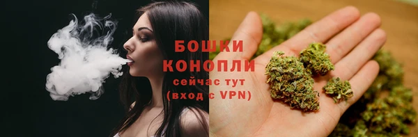 гидропоника Богородск