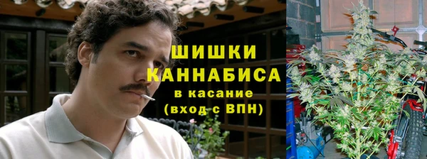 гидропоника Богородск